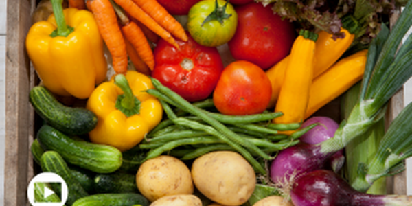 basket of vegetables